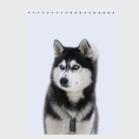 Скетчбук с принтом ХАСКИ в Тюмени, 100% бумага
 | 48 листов, плотность листов — 100 г/м2, плотность картонной обложки — 250 г/м2. Листы скреплены сверху удобной пружинной спиралью | Тематика изображения на принте: dog | husky | милый | пес | песик | собака | собачка | хаски | щенок