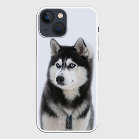 Чехол для iPhone 13 mini с принтом ХАСКИ в Тюмени,  |  | dog | husky | милый | пес | песик | собака | собачка | хаски | щенок