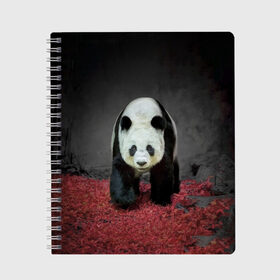 Тетрадь с принтом ПАНДА в Тюмени, 100% бумага | 48 листов, плотность листов — 60 г/м2, плотность картонной обложки — 250 г/м2. Листы скреплены сбоку удобной пружинной спиралью. Уголки страниц и обложки скругленные. Цвет линий — светло-серый
 | Тематика изображения на принте: panda | большая | в зоопарке | забавная | медведь | милая | панда | пандочка