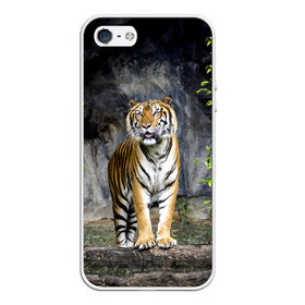 Чехол для iPhone 5/5S матовый с принтом ТИГР В ЛЕСУ в Тюмени, Силикон | Область печати: задняя сторона чехла, без боковых панелей | tiger | амурский | бенгальский | в зоопарке | в лесу | дикий | кошка | крупная | полосатый | тигр | тигренок | тигрица