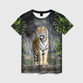 Женская футболка 3D с принтом ТИГР В ЛЕСУ в Тюмени, 100% полиэфир ( синтетическое хлопкоподобное полотно) | прямой крой, круглый вырез горловины, длина до линии бедер | Тематика изображения на принте: tiger | амурский | бенгальский | в зоопарке | в лесу | дикий | кошка | крупная | полосатый | тигр | тигренок | тигрица