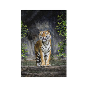 Обложка для паспорта матовая кожа с принтом ТИГР В ЛЕСУ в Тюмени, натуральная матовая кожа | размер 19,3 х 13,7 см; прозрачные пластиковые крепления | tiger | амурский | бенгальский | в зоопарке | в лесу | дикий | кошка | крупная | полосатый | тигр | тигренок | тигрица