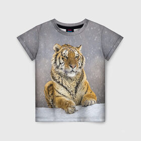Детская футболка 3D с принтом ТИГР ЗИМОЙ в Тюмени, 100% гипоаллергенный полиэфир | прямой крой, круглый вырез горловины, длина до линии бедер, чуть спущенное плечо, ткань немного тянется | tiger | амурский | бенгальский | дикий | зима | зимой | кошка | крупная | полосатый | тигр | тигренок | тигрица