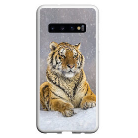Чехол для Samsung Galaxy S10 с принтом ТИГР ЗИМОЙ в Тюмени, Силикон | Область печати: задняя сторона чехла, без боковых панелей | tiger | амурский | бенгальский | дикий | зима | зимой | кошка | крупная | полосатый | тигр | тигренок | тигрица