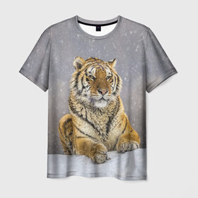 Мужская футболка 3D с принтом ТИГР ЗИМОЙ в Тюмени, 100% полиэфир | прямой крой, круглый вырез горловины, длина до линии бедер | Тематика изображения на принте: tiger | амурский | бенгальский | дикий | зима | зимой | кошка | крупная | полосатый | тигр | тигренок | тигрица