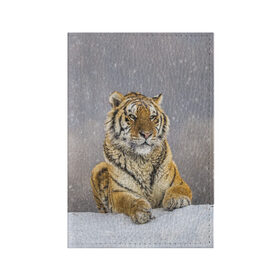 Обложка для паспорта матовая кожа с принтом ТИГР ЗИМОЙ в Тюмени, натуральная матовая кожа | размер 19,3 х 13,7 см; прозрачные пластиковые крепления | tiger | амурский | бенгальский | дикий | зима | зимой | кошка | крупная | полосатый | тигр | тигренок | тигрица