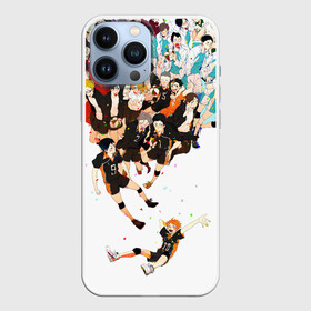 Чехол для iPhone 13 Pro Max с принтом Все герои Haikyuu в Тюмени,  |  | anime | haikuu | haikyu | haikyuu | haikyy | kageyama | karasuno | nekoma | voleyball | аниме | волейбол | кагеяма | карасуно | некома | хайку | хината | шаторидзава