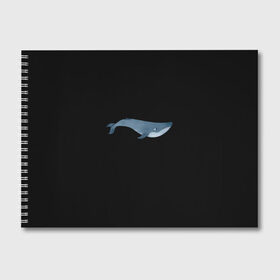Альбом для рисования с принтом Киты мечтают в Тюмени, 100% бумага
 | матовая бумага, плотность 200 мг. | большая рыба | большой кит | водный | водяной | волны | глубина | кит | кит мечтает | киты | киты мечтают | мечта | мечта китов | мечтатели | море | морские жители | морское царство | океан | под водой