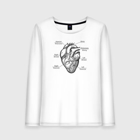 Женский лонгслив хлопок с принтом Схема сердца в Тюмени, 100% хлопок |  | надписи | органы | сердце | схема
