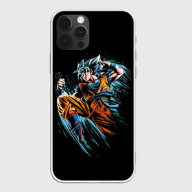 Чехол для iPhone 12 Pro Max с принтом Fighter в Тюмени, Силикон |  | anime | art | character | drawing | fighter | street fighter | аниме | арт | боец | каратист | персонаж | рисунок | уличный боец