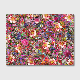 Альбом для рисования с принтом Цветочки в Тюмени, 100% бумага
 | матовая бумага, плотность 200 мг. | ромашки | футболка в цветочек | футболка с цветочками | цветочки | цветы