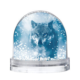 Снежный шар с принтом Волк в Тюмени, Пластик | Изображение внутри шара печатается на глянцевой фотобумаге с двух сторон | animal | animals | big bad wolf | eyes | nature | predator | snow | wolf | волк | глаза | звери | зверь | природа | снег | хищник