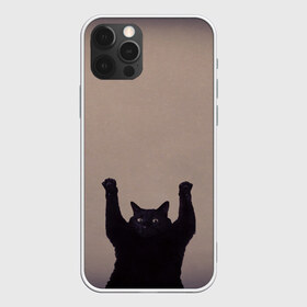 Чехол для iPhone 12 Pro Max с принтом Кот сдается в Тюмени, Силикон |  | cat | арест | испуг | кот | руки вверх | черный кот