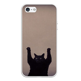 Чехол для iPhone 5/5S матовый с принтом Кот сдается в Тюмени, Силикон | Область печати: задняя сторона чехла, без боковых панелей | cat | арест | испуг | кот | руки вверх | черный кот
