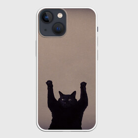 Чехол для iPhone 13 mini с принтом Кот сдается в Тюмени,  |  | Тематика изображения на принте: cat | арест | испуг | кот | руки вверх | черный кот