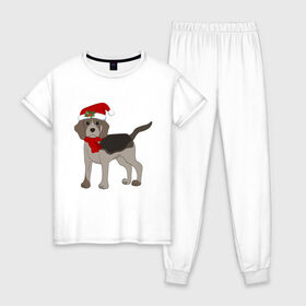 Женская пижама хлопок с принтом Новогодний Бигль в Тюмени, 100% хлопок | брюки и футболка прямого кроя, без карманов, на брюках мягкая резинка на поясе и по низу штанин | 2021 | бигль | зима | зимняя собака | милый | нарядная собака | новогодний щенок | новый год | подарок | собака | собака в шапке | шарф | щенок | щенок с шарфом