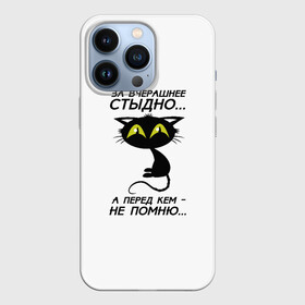 Чехол для iPhone 13 Pro с принтом За вчерашнее стыдно в Тюмени,  |  | Тематика изображения на принте: животные | кот | надписи | стыдно | юмор