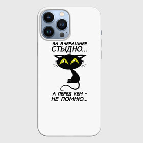 Чехол для iPhone 13 Pro Max с принтом За вчерашнее стыдно в Тюмени,  |  | Тематика изображения на принте: животные | кот | надписи | стыдно | юмор