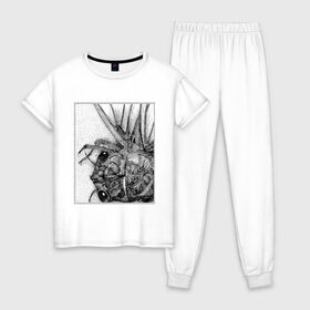 Женская пижама хлопок с принтом Цокотуха в Тюмени, 100% хлопок | брюки и футболка прямого кроя, без карманов, на брюках мягкая резинка на поясе и по низу штанин | глаза | крылья | муха | насекомое | цокотуха