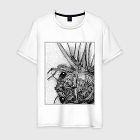 Мужская футболка хлопок с принтом Цокотуха в Тюмени, 100% хлопок | прямой крой, круглый вырез горловины, длина до линии бедер, слегка спущенное плечо. | глаза | крылья | муха | насекомое | цокотуха