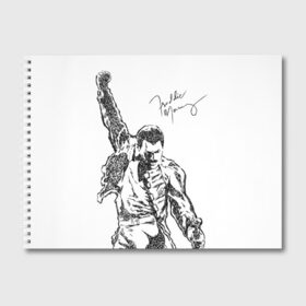Альбом для рисования с принтом Freddie Mercury в Тюмени, 100% бумага
 | матовая бумага, плотность 200 мг. | freddie mercury | queen | автограф | квин | фредди меркьюри
