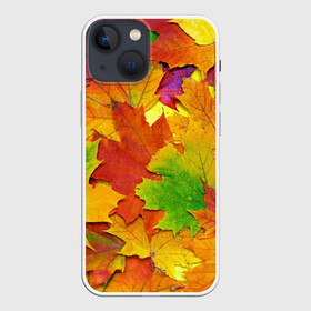 Чехол для iPhone 13 mini с принтом Осенние листья в Тюмени,  |  | клён | краски | листья | осень | радуга | разноцветный | яркая
