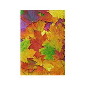 Обложка для паспорта матовая кожа с принтом Осенние листья в Тюмени, натуральная матовая кожа | размер 19,3 х 13,7 см; прозрачные пластиковые крепления | клён | краски | листья | осень | радуга | разноцветный | яркая