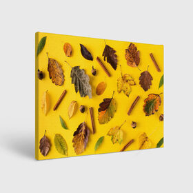 Холст прямоугольный с принтом Гербарий в Тюмени, 100% ПВХ |  | гербарий | жёлтый | листья | осень
