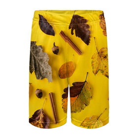Детские спортивные шорты 3D с принтом Гербарий в Тюмени,  100% полиэстер
 | пояс оформлен широкой мягкой резинкой, ткань тянется
 | гербарий | жёлтый | листья | осень
