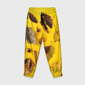Детские брюки 3D с принтом Гербарий в Тюмени, 100% полиэстер | манжеты по низу, эластичный пояс регулируется шнурком, по бокам два кармана без застежек, внутренняя часть кармана из мелкой сетки | Тематика изображения на принте: гербарий | жёлтый | листья | осень