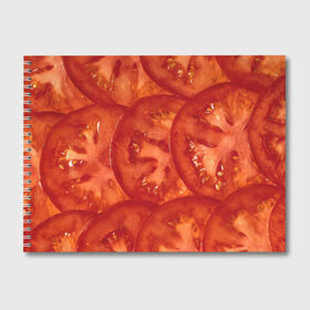 Альбом для рисования с принтом Помидорки в Тюмени, 100% бумага
 | матовая бумага, плотность 200 мг. | Тематика изображения на принте: арт | еда | лето | овощ | овощи | помидор | помидорки | помидоры | рисунок | томат | томаты