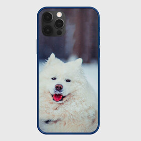 Чехол для iPhone 12 Pro Max с принтом САМОЕД в Тюмени, Силикон |  | animals | dog | winter | домашние | друг | животные | звери | зима | лайка | пес | песель | природа | пушистый | самоед | собаки | собачка | хаски