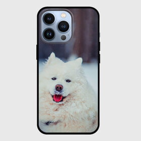 Чехол для iPhone 13 Pro с принтом САМОЕД в Тюмени,  |  | animals | dog | winter | домашние | друг | животные | звери | зима | лайка | пес | песель | природа | пушистый | самоед | собаки | собачка | хаски