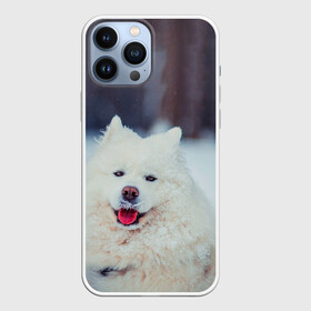 Чехол для iPhone 13 Pro Max с принтом САМОЕД в Тюмени,  |  | animals | dog | winter | домашние | друг | животные | звери | зима | лайка | пес | песель | природа | пушистый | самоед | собаки | собачка | хаски