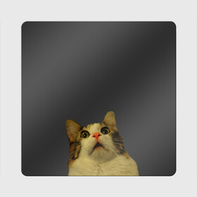 Магнит виниловый Квадрат с принтом Котэ смотрит вверх в Тюмени, полимерный материал с магнитным слоем | размер 9*9 см, закругленные углы | Тематика изображения на принте: cat | up | вверх | кот | подглядывание | удивление
