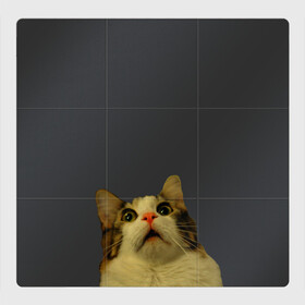 Магнитный плакат 3Х3 с принтом Котэ смотрит вверх в Тюмени, Полимерный материал с магнитным слоем | 9 деталей размером 9*9 см | Тематика изображения на принте: cat | up | вверх | кот | подглядывание | удивление