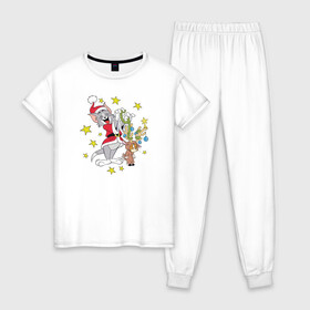 Женская пижама хлопок с принтом Tom and Jerry в Тюмени, 100% хлопок | брюки и футболка прямого кроя, без карманов, на брюках мягкая резинка на поясе и по низу штанин | tom and jerry | vdkimel | warner bros | том и джерри