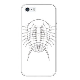 Чехол для iPhone 5/5S матовый с принтом трилобит агрессивный в Тюмени, Силикон | Область печати: задняя сторона чехла, без боковых панелей | агрессия | доисторические животные | жуткие животные | насекомые | палеонтология | трилобиты