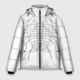 Мужская зимняя куртка 3D с принтом трилобит агрессивный в Тюмени, верх — 100% полиэстер; подкладка — 100% полиэстер; утеплитель — 100% полиэстер | длина ниже бедра, свободный силуэт Оверсайз. Есть воротник-стойка, отстегивающийся капюшон и ветрозащитная планка. 

Боковые карманы с листочкой на кнопках и внутренний карман на молнии. | Тематика изображения на принте: агрессия | доисторические животные | жуткие животные | насекомые | палеонтология | трилобиты