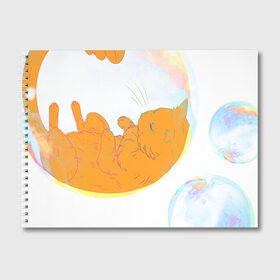 Альбом для рисования с принтом Котик в пузыре, рыжий в Тюмени, 100% бумага
 | матовая бумага, плотность 200 мг. | Тематика изображения на принте: звери | котики | коты | кошки | милый | подарок | пузырь | рыжий