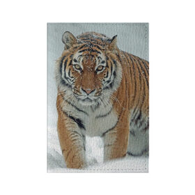 Обложка для паспорта матовая кожа с принтом Тигр в Тюмени, натуральная матовая кожа | размер 19,3 х 13,7 см; прозрачные пластиковые крепления | животное | животные | звери | зверь | зима | кот | кошка | природа | снег | тигр | тигра | тигры | хищник | хищники