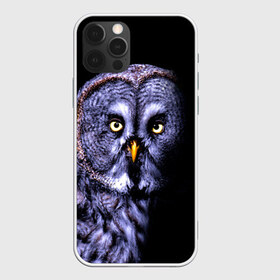 Чехол для iPhone 12 Pro Max с принтом Сова в Тюмени, Силикон |  | животные | звери | лес | природа | птица | сова