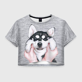 Женская футболка Crop-top 3D с принтом Хаски в Тюмени, 100% полиэстер | круглая горловина, длина футболки до линии талии, рукава с отворотами | гладить собаку | животные | пёс | пёсики | серый фон | сибирский хаски | собаки | хаски