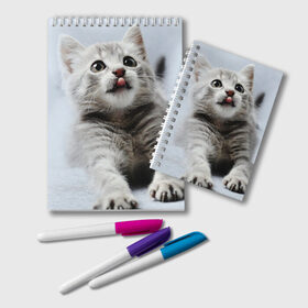 Блокнот с принтом серый котенок в Тюмени, 100% бумага | 48 листов, плотность листов — 60 г/м2, плотность картонной обложки — 250 г/м2. Листы скреплены удобной пружинной спиралью. Цвет линий — светло-серый
 | grey kitten | kitten | котенок | милый котенок | серый котенок