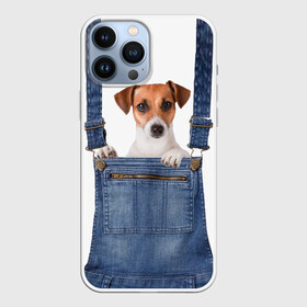 Чехол для iPhone 13 Pro Max с принтом ЩЕНОК В КАРМАШКЕ в Тюмени,  |  | Тематика изображения на принте: dog | jeans | packet | гав | джинсовый | дружок | животные | звери | карман | комбинезон | ломашние | одежда | пес | собака | щенок