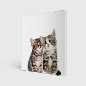 Холст квадратный с принтом котята в Тюмени, 100% ПВХ |  | cute kittens | kittens | котята | красивые котята | милые котята