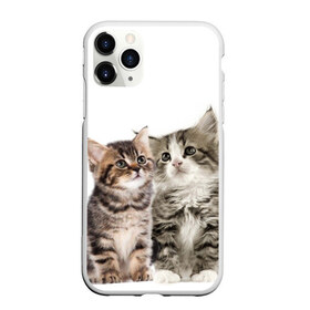 Чехол для iPhone 11 Pro матовый с принтом котята в Тюмени, Силикон |  | cute kittens | kittens | котята | красивые котята | милые котята