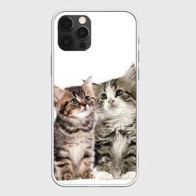 Чехол для iPhone 12 Pro Max с принтом котята в Тюмени, Силикон |  | cute kittens | kittens | котята | красивые котята | милые котята