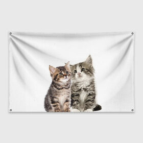 Флаг-баннер с принтом котята в Тюмени, 100% полиэстер | размер 67 х 109 см, плотность ткани — 95 г/м2; по краям флага есть четыре люверса для крепления | cute kittens | kittens | котята | красивые котята | милые котята