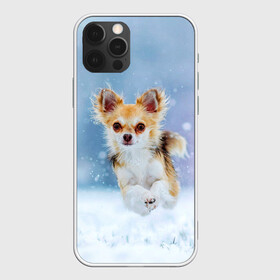 Чехол для iPhone 12 Pro Max с принтом Чихуахуа в снегу в Тюмени, Силикон |  | Тематика изображения на принте: dog | животные | зима | пес | природа | снег | собака | собаки | собакчка | собачки | чихуа хуа | чихуахуа